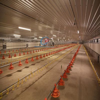 経済的な鉄鋼建築 鉄鋼フレーム建築 建築物 建築物 建築物 建築物 建築物 建築物 建築物 建築物 建築物 建築物 建築物 建築物