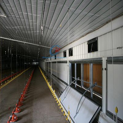 鶏場 鋼鉄構造 Q235 Q345 鋼鉄の家畜の建物