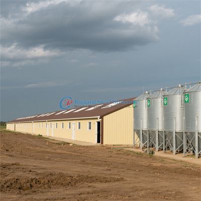 Prefabricated Steel Poultry Barns Farm Shed Design Industrial Chicken House